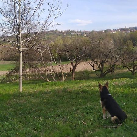 B&B Naturin - Cascina Colombaro Lauriano ภายนอก รูปภาพ