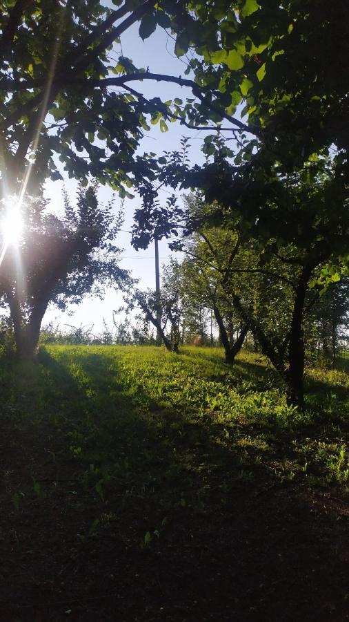 B&B Naturin - Cascina Colombaro Lauriano ภายนอก รูปภาพ