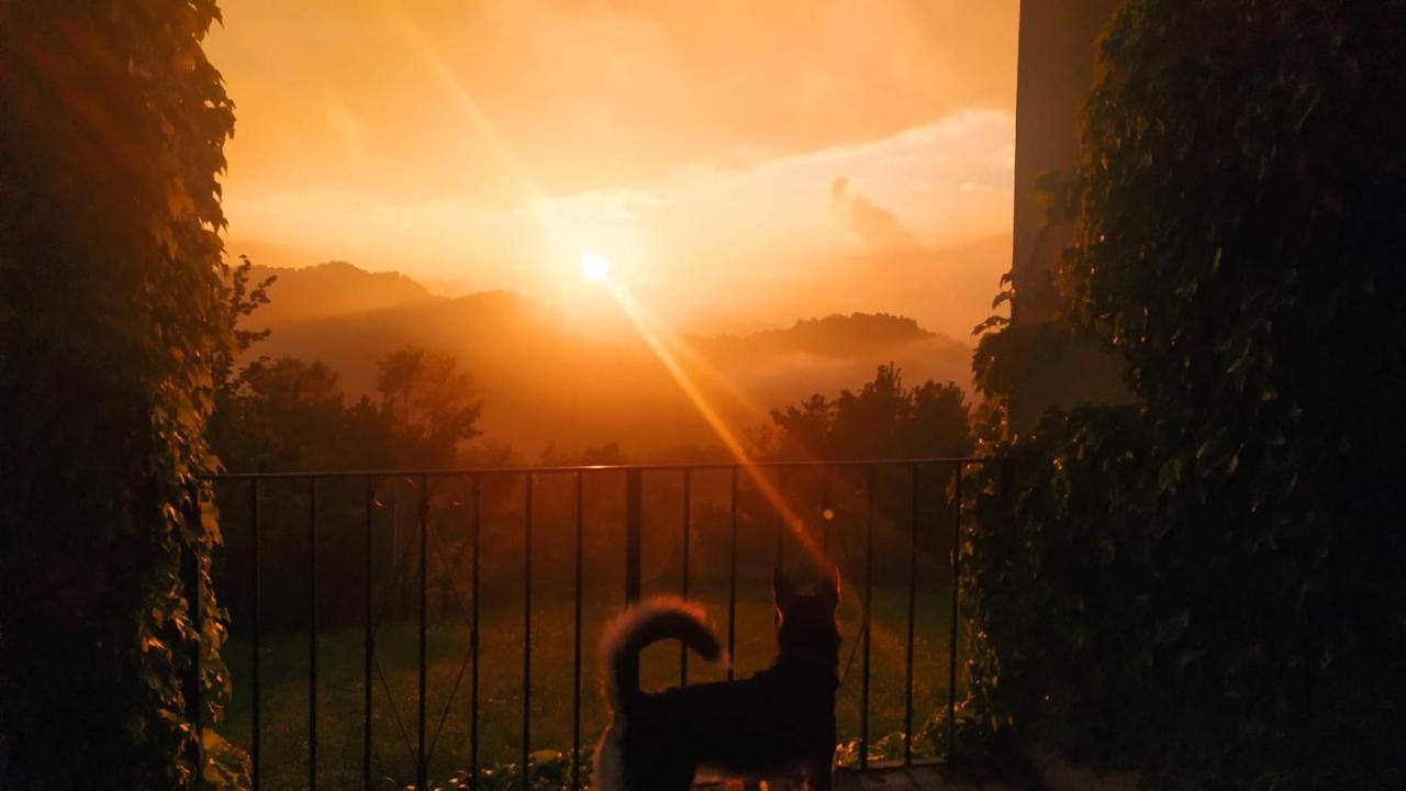B&B Naturin - Cascina Colombaro Lauriano ภายนอก รูปภาพ