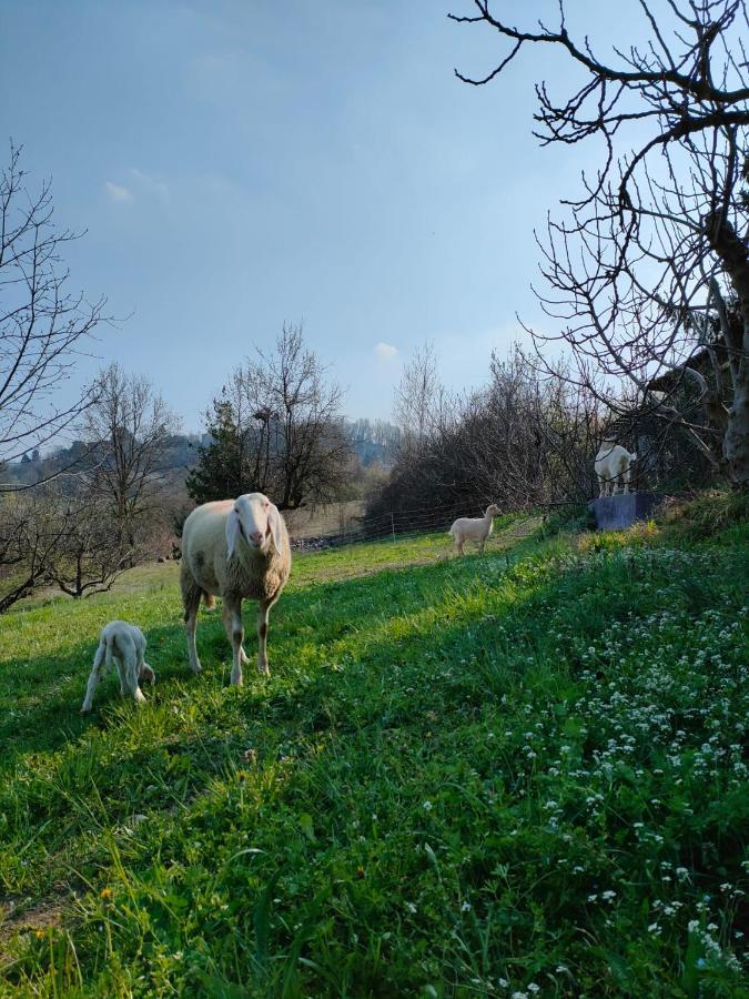 B&B Naturin - Cascina Colombaro Lauriano ภายนอก รูปภาพ