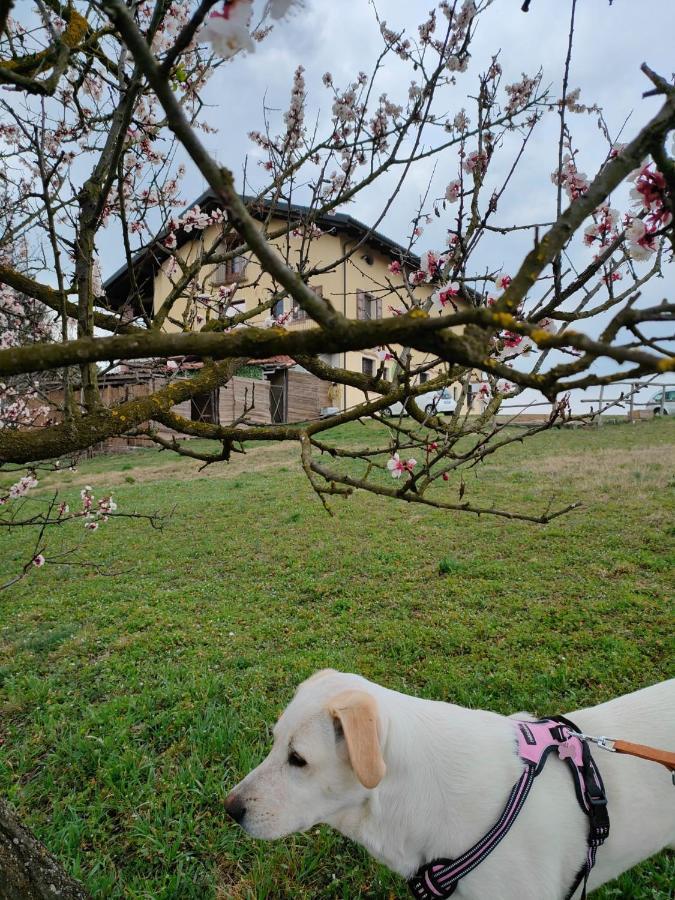 B&B Naturin - Cascina Colombaro Lauriano ภายนอก รูปภาพ