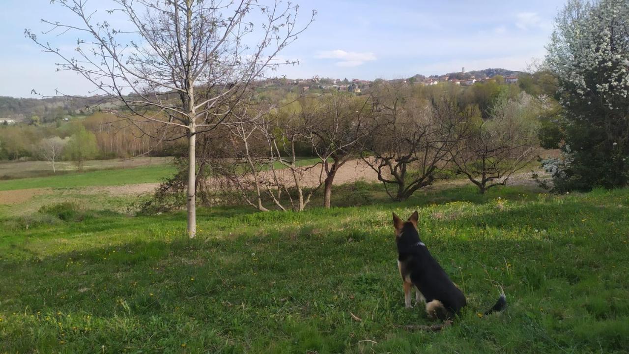 B&B Naturin - Cascina Colombaro Lauriano ภายนอก รูปภาพ