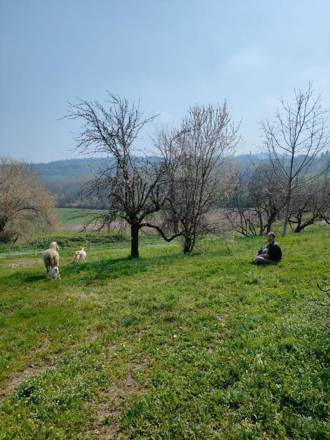 B&B Naturin - Cascina Colombaro Lauriano ภายนอก รูปภาพ